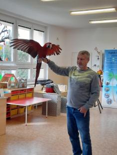 Papoušci a jejich život - projektový den
